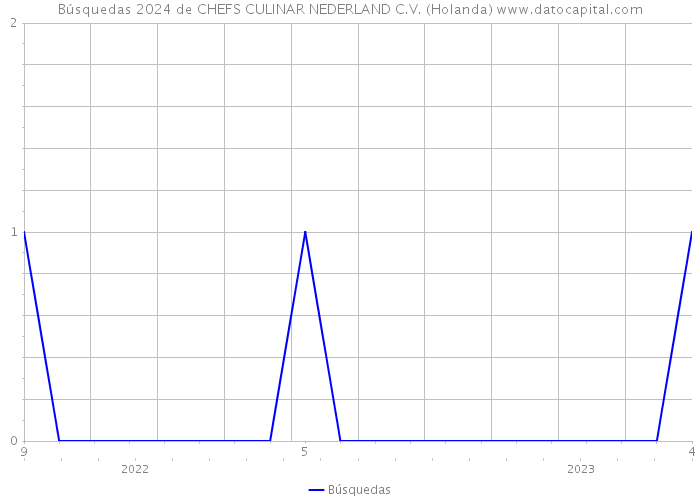 Búsquedas 2024 de CHEFS CULINAR NEDERLAND C.V. (Holanda) 