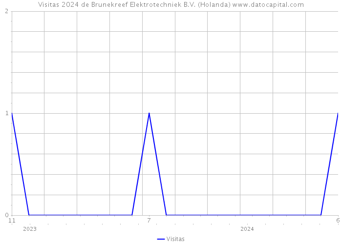 Visitas 2024 de Brunekreef Elektrotechniek B.V. (Holanda) 