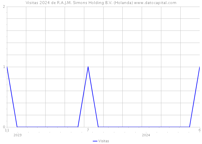 Visitas 2024 de R.A.J.M. Simons Holding B.V. (Holanda) 