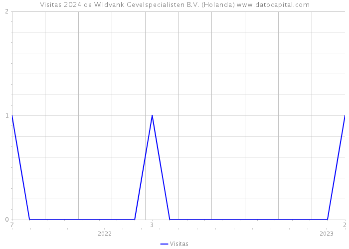 Visitas 2024 de Wildvank Gevelspecialisten B.V. (Holanda) 