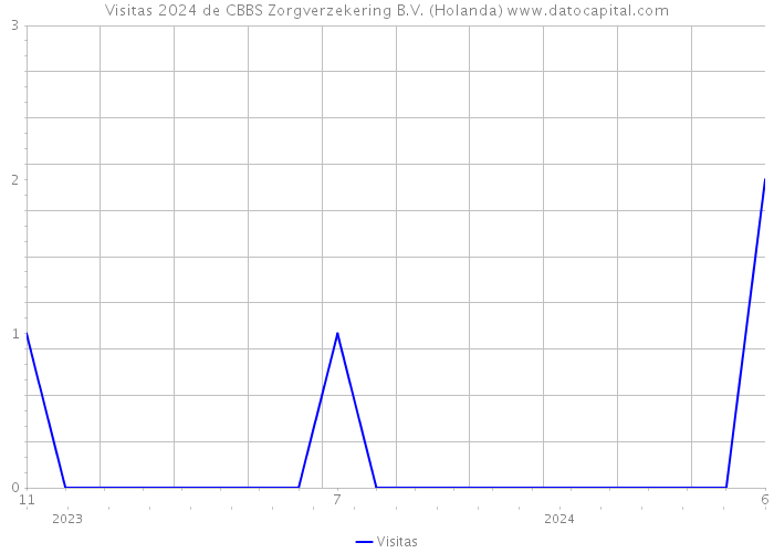 Visitas 2024 de CBBS Zorgverzekering B.V. (Holanda) 