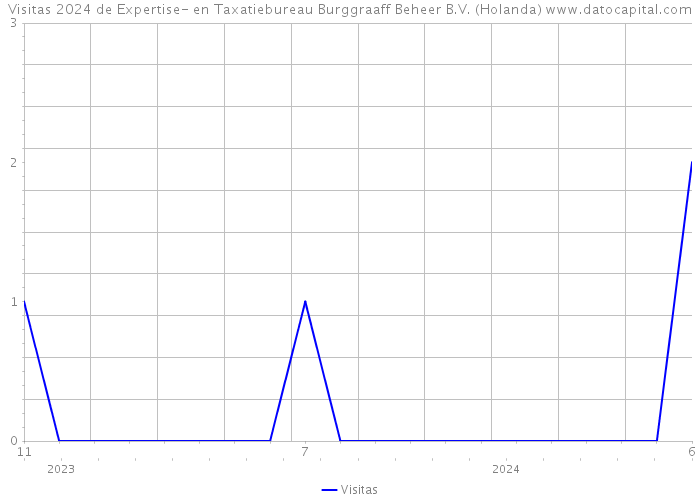 Visitas 2024 de Expertise- en Taxatiebureau Burggraaff Beheer B.V. (Holanda) 