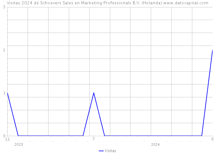 Visitas 2024 de Schoevers Sales en Marketing Professionals B.V. (Holanda) 