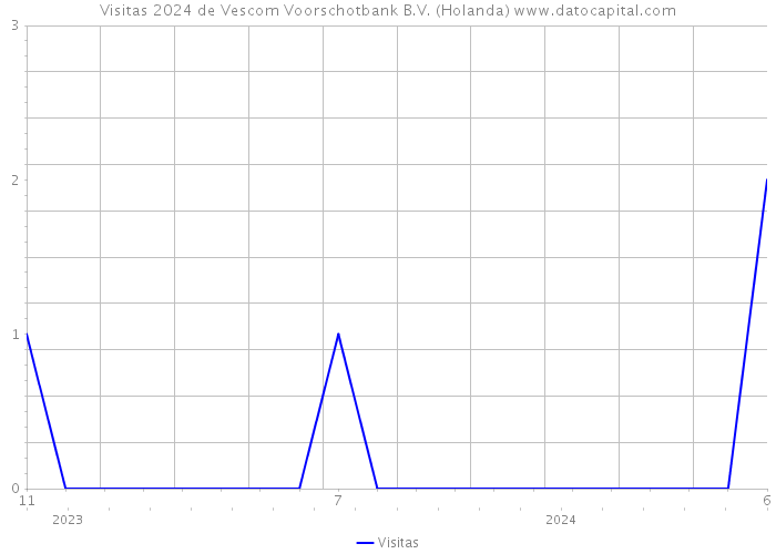 Visitas 2024 de Vescom Voorschotbank B.V. (Holanda) 