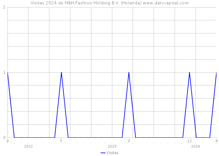 Visitas 2024 de H&H Fashion Holding B.V. (Holanda) 