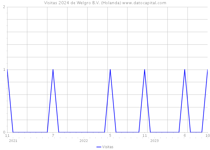 Visitas 2024 de Welgro B.V. (Holanda) 