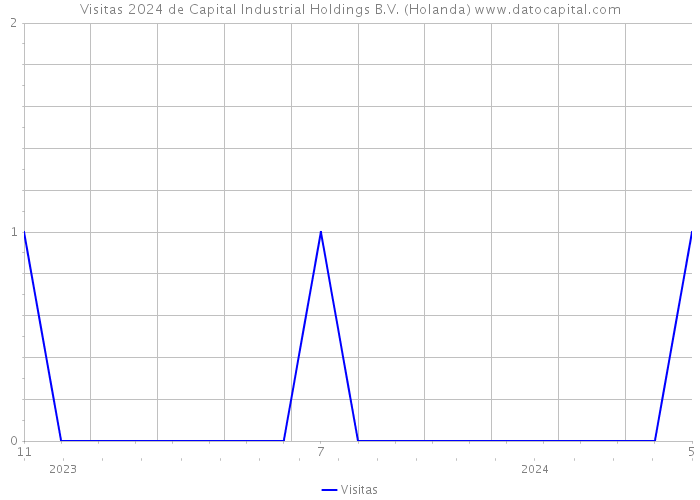 Visitas 2024 de Capital Industrial Holdings B.V. (Holanda) 