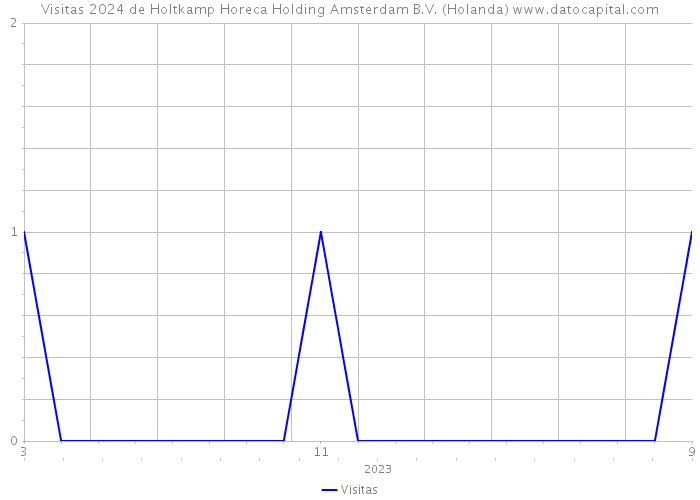 Visitas 2024 de Holtkamp Horeca Holding Amsterdam B.V. (Holanda) 
