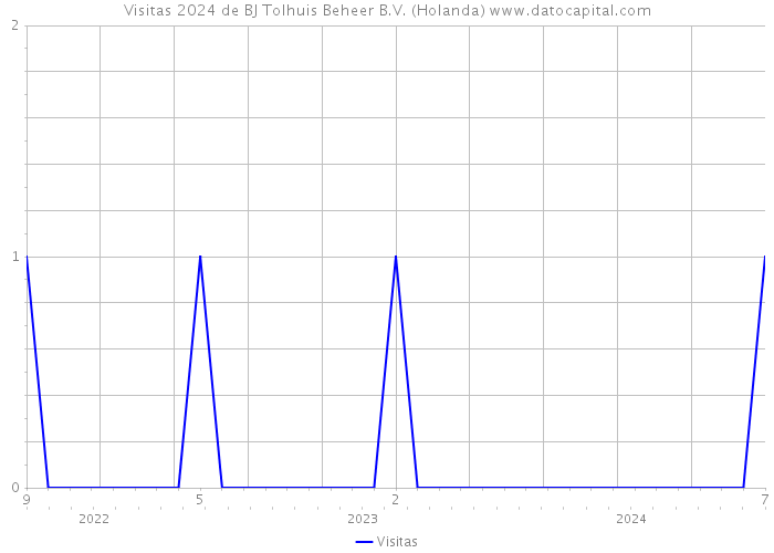 Visitas 2024 de BJ Tolhuis Beheer B.V. (Holanda) 