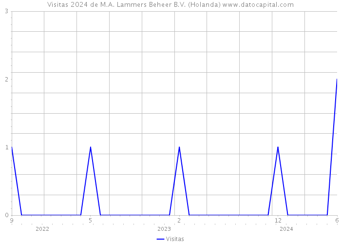 Visitas 2024 de M.A. Lammers Beheer B.V. (Holanda) 