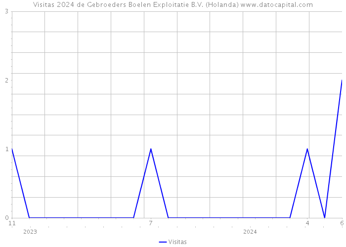 Visitas 2024 de Gebroeders Boelen Exploitatie B.V. (Holanda) 