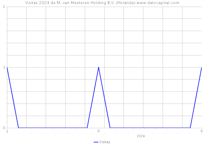 Visitas 2024 de M. van Meeteren Holding B.V. (Holanda) 