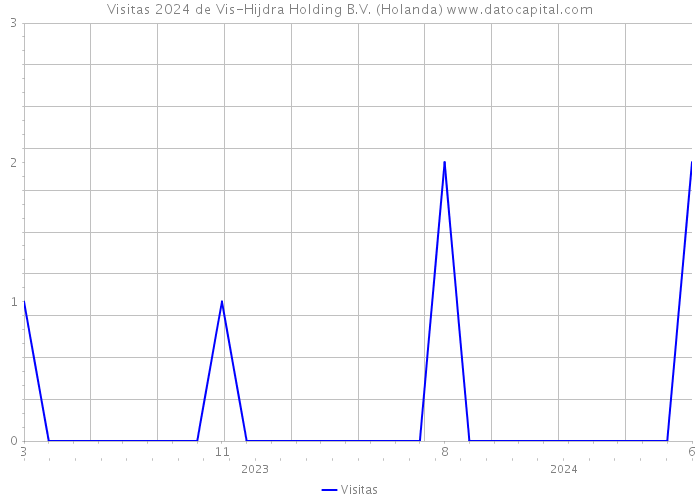 Visitas 2024 de Vis-Hijdra Holding B.V. (Holanda) 