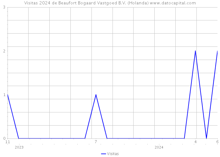 Visitas 2024 de Beaufort Bogaard Vastgoed B.V. (Holanda) 