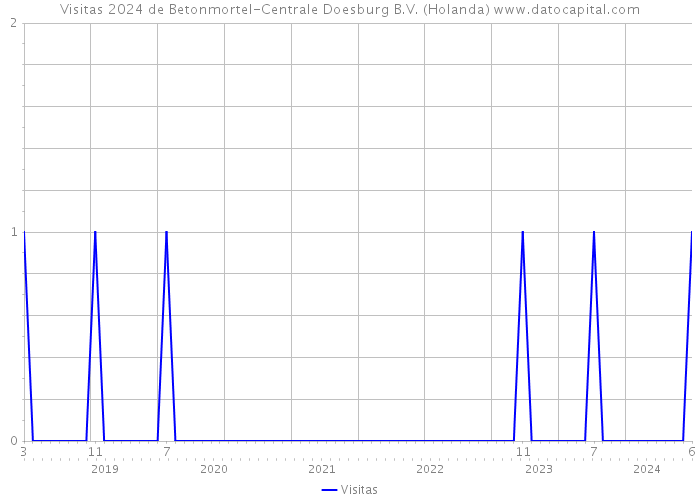 Visitas 2024 de Betonmortel-Centrale Doesburg B.V. (Holanda) 