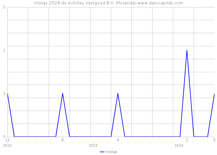 Visitas 2024 de Achilles Vastgoed B.V. (Holanda) 