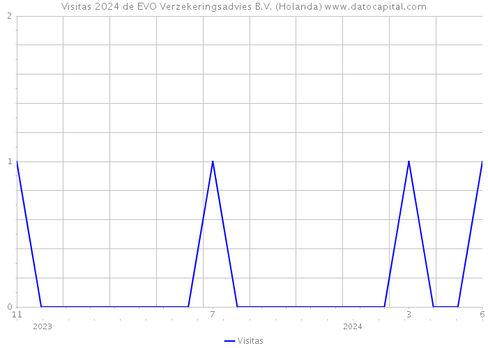 Visitas 2024 de EVO Verzekeringsadvies B.V. (Holanda) 