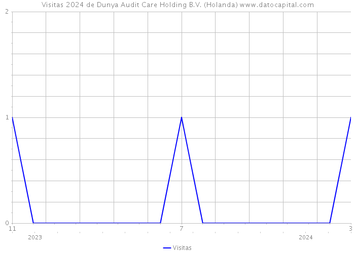 Visitas 2024 de Dunya Audit Care Holding B.V. (Holanda) 