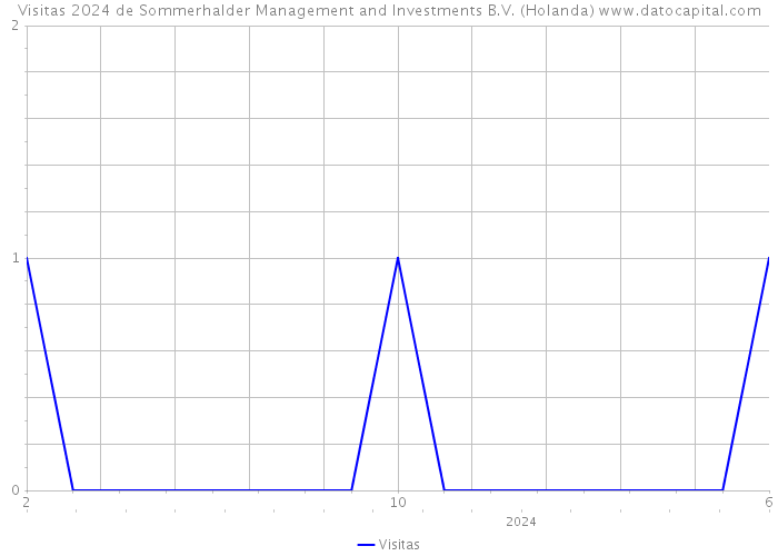 Visitas 2024 de Sommerhalder Management and Investments B.V. (Holanda) 