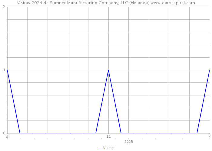 Visitas 2024 de Sumner Manufacturing Company, LLC (Holanda) 