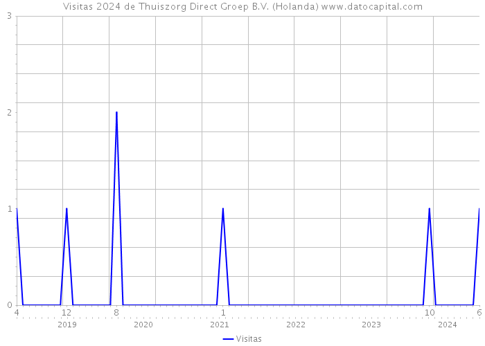 Visitas 2024 de Thuiszorg Direct Groep B.V. (Holanda) 