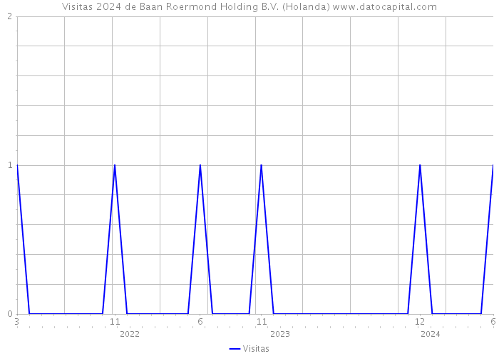 Visitas 2024 de Baan Roermond Holding B.V. (Holanda) 