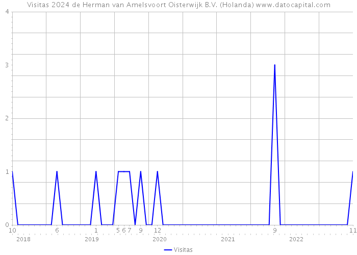 Visitas 2024 de Herman van Amelsvoort Oisterwijk B.V. (Holanda) 