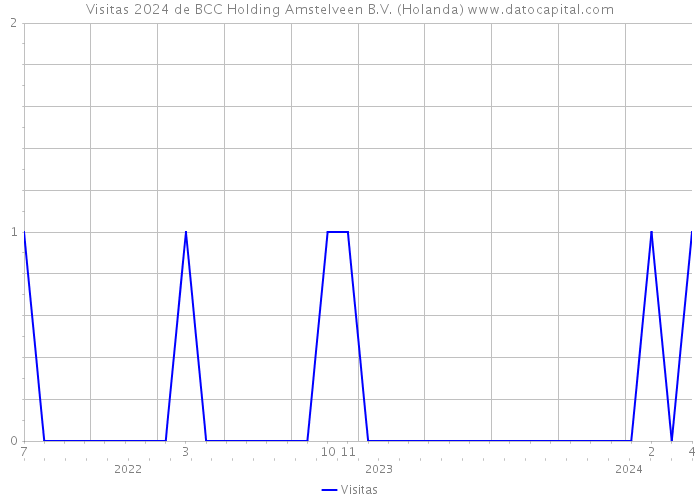 Visitas 2024 de BCC Holding Amstelveen B.V. (Holanda) 