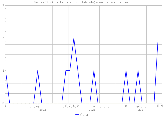 Visitas 2024 de Tamara B.V. (Holanda) 