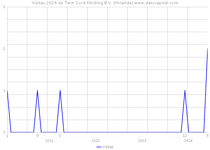Visitas 2024 de Twin Cord Holding B.V. (Holanda) 