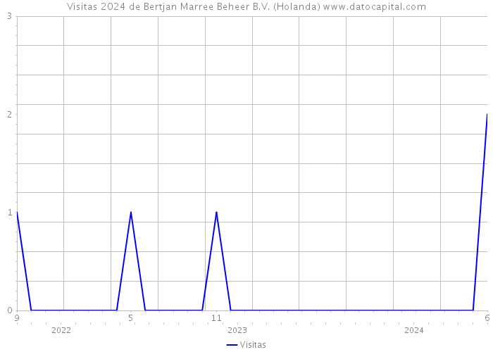 Visitas 2024 de Bertjan Marree Beheer B.V. (Holanda) 