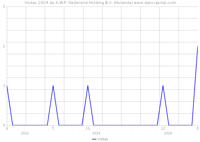 Visitas 2024 de A.W.P. Nederend Holding B.V. (Holanda) 