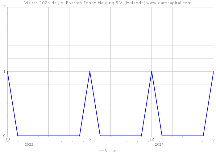 Visitas 2024 de J.A. Boer en Zonen Holding B.V. (Holanda) 