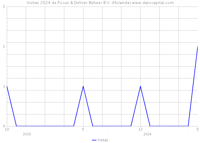 Visitas 2024 de Focus & Deliver Beheer B.V. (Holanda) 