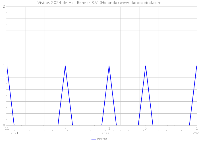 Visitas 2024 de Hali Beheer B.V. (Holanda) 