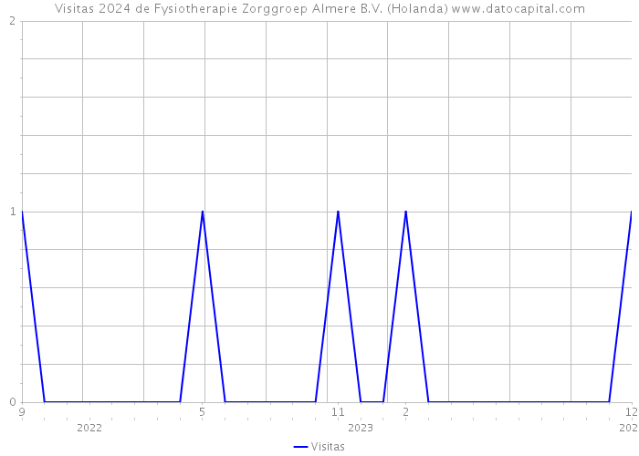 Visitas 2024 de Fysiotherapie Zorggroep Almere B.V. (Holanda) 