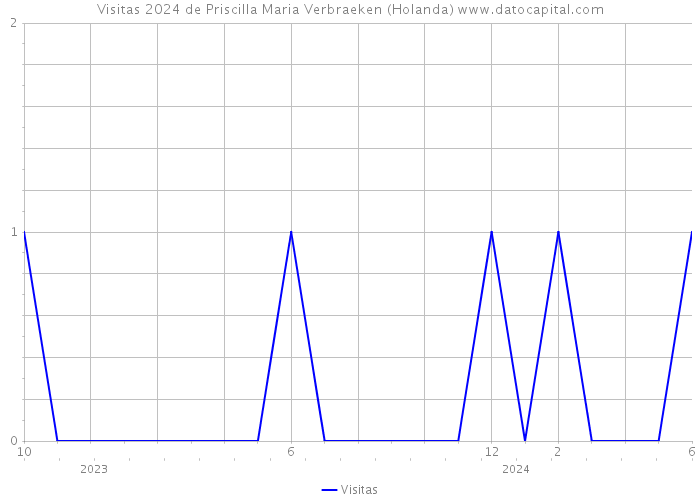 Visitas 2024 de Priscilla Maria Verbraeken (Holanda) 