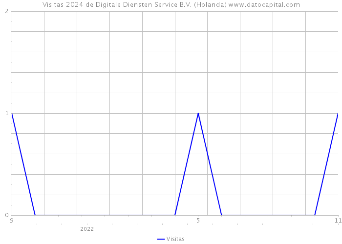 Visitas 2024 de Digitale Diensten Service B.V. (Holanda) 