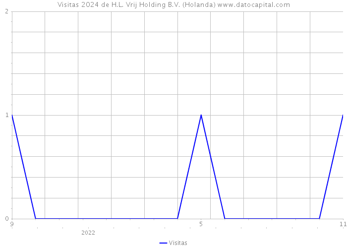 Visitas 2024 de H.L. Vrij Holding B.V. (Holanda) 