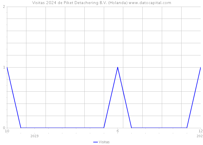 Visitas 2024 de Piket Detachering B.V. (Holanda) 