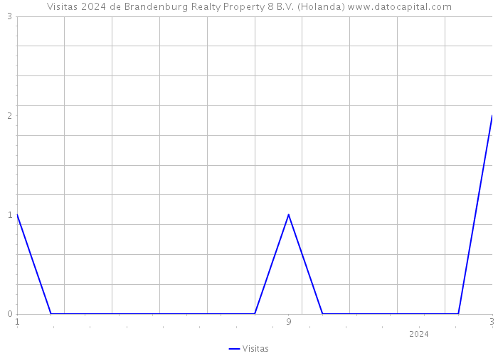 Visitas 2024 de Brandenburg Realty Property 8 B.V. (Holanda) 