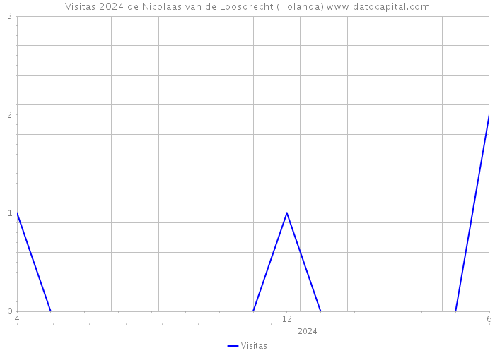 Visitas 2024 de Nicolaas van de Loosdrecht (Holanda) 