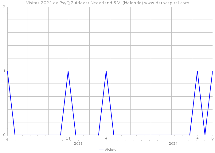 Visitas 2024 de PsyQ Zuidoost Nederland B.V. (Holanda) 