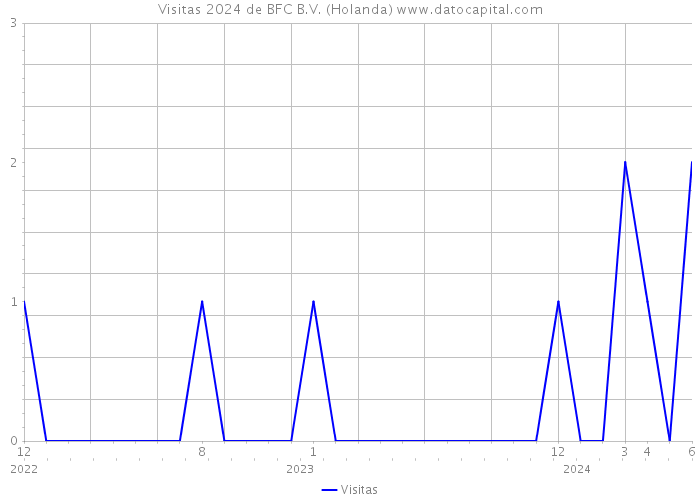 Visitas 2024 de BFC B.V. (Holanda) 