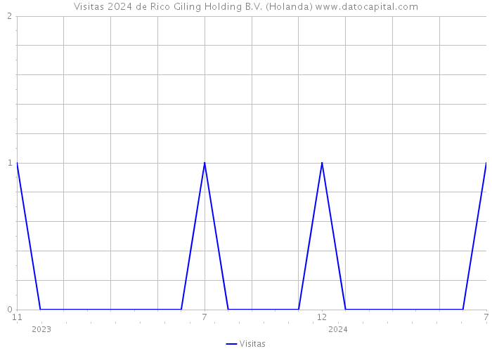 Visitas 2024 de Rico Giling Holding B.V. (Holanda) 