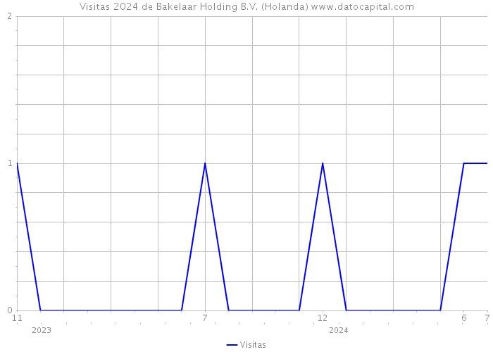 Visitas 2024 de Bakelaar Holding B.V. (Holanda) 