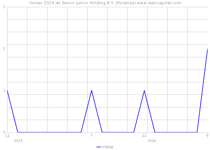 Visitas 2024 de Senior Junior Holding B.V. (Holanda) 