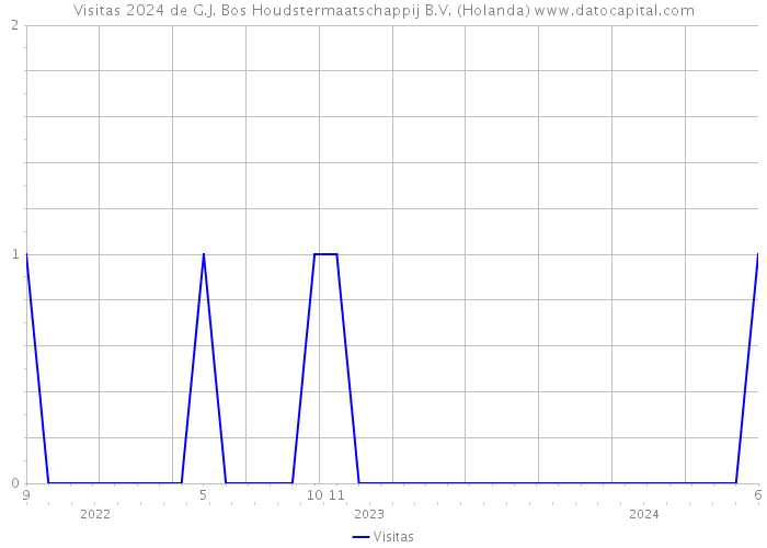 Visitas 2024 de G.J. Bos Houdstermaatschappij B.V. (Holanda) 