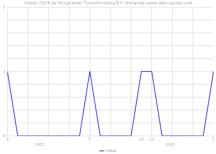 Visitas 2024 de Hoogkamer Tussenholding B.V. (Holanda) 