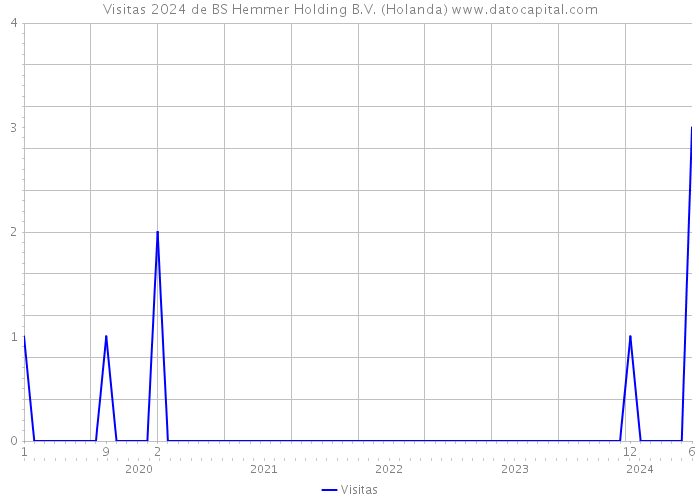 Visitas 2024 de BS Hemmer Holding B.V. (Holanda) 